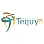 audit UX / UI Tequyo