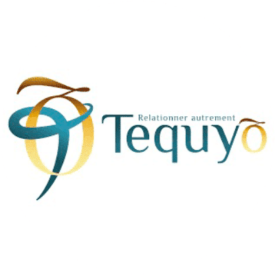 audit UX / UI Tequyo